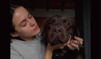 「なに食べてるの～？」子犬が食事中の飼い主さんのところへおこぼれをもらいにやってきた！