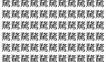 【脳トレ】「騖」の中に紛れて1つ違う文字がある!?あなたは何秒で探し出せるかな??【違う文字を探せ!】