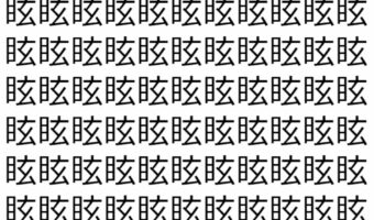 【脳トレ】「眩」の中に紛れて1つ違う文字がある!?あなたは何秒で探し出せるかな??【違う文字を探せ!】