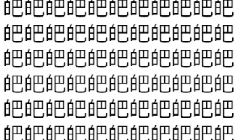 【脳トレ】「皅」の中に紛れて1つ違う文字がある!?あなたは何秒で探し出せるかな??【違う文字を探せ!】