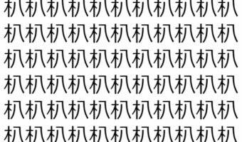 【脳トレ】「朳」の中に紛れて1つ違う文字がある!?あなたは何秒で探し出せるかな??【違う文字を探せ!】