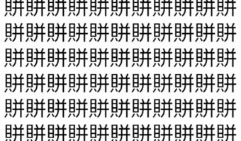 【脳トレ】「賆」の中に紛れて1つ違う文字がある！？あなたは何秒で探し出せるかな？？【違う文字を探せ！】