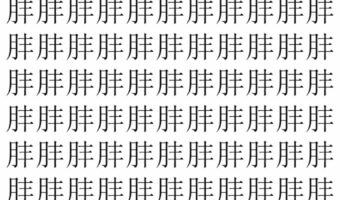 【脳トレ】「肨」の中に紛れて1つ違う文字がある！？あなたは何秒で探し出せるかな？？【違う文字を探せ！】