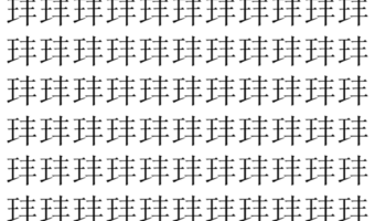 【脳トレ】「玤」の中に紛れて1つ違う文字がある!?あなたは何秒で探し出せるかな??【違う文字を探せ!】