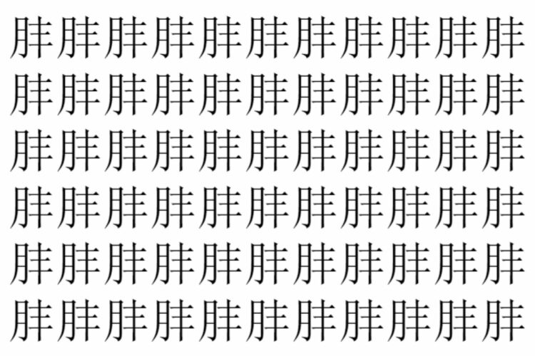 【脳トレ】「肨」の中に紛れて1つ違う文字がある！？あなたは何秒で探し出せるかな？？【違う文字を探せ！】