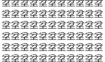【脳トレ】「坌」の中に紛れて1つ違う文字がある！？あなたは何秒で探し出せるかな？？【違う文字を探せ！】