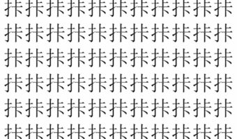 【脳トレ】「拤」の中に紛れて1つ違う文字がある！？あなたは何秒で探し出せるかな？？【違う文字を探せ！】