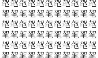 【脳トレ】「毠」の中に紛れて1つ違う文字がある！？あなたは何秒で探し出せるかな？？【違う文字を探せ！】