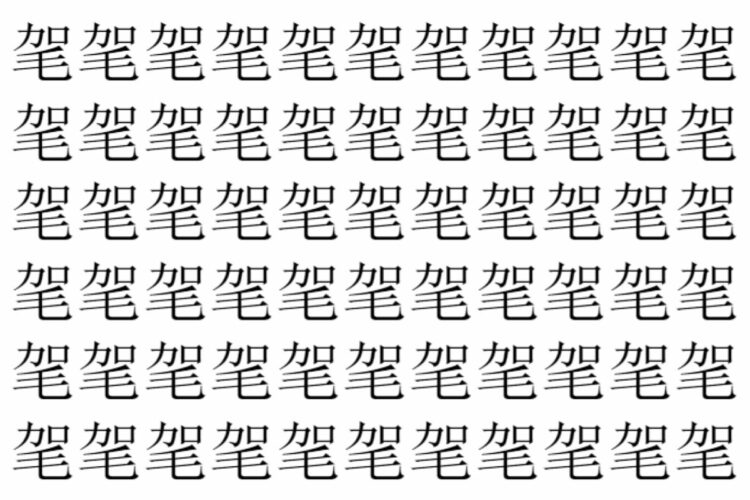 【脳トレ】「毠」の中に紛れて1つ違う文字がある！？あなたは何秒で探し出せるかな？？【違う文字を探せ！】