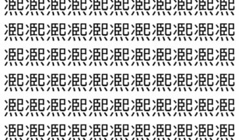 【脳トレ】「凞」の中に紛れて1つ違う文字がある!?あなたは何秒で探し出せるかな??【違う文字を探せ!】