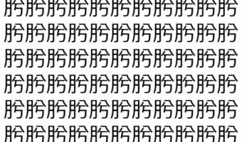 【脳トレ】「肹」の中に紛れて1つ違う文字がある!?あなたは何秒で探し出せるかな??【違う文字を探せ!】