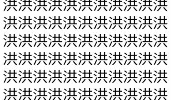 【脳トレ】「洪」の中に紛れて1つ違う文字がある!?あなたは何秒で探し出せるかな??【違う文字を探せ!】