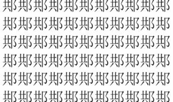 【脳トレ】「䢼」の中に紛れて1つ違う文字がある！？あなたは何秒で探し出せるかな？？【違う文字を探せ！】