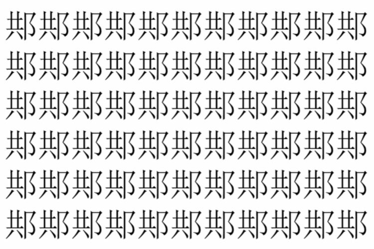 【脳トレ】「䢼」の中に紛れて1つ違う文字がある！？あなたは何秒で探し出せるかな？？【違う文字を探せ！】