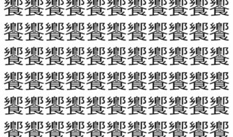 【脳トレ】「饗」の中に紛れて1つ違う文字がある!?あなたは何秒で探し出せるかな??【違う文字を探せ!】