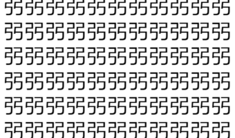 【脳トレ】「弜」の中に紛れて1つ違う文字がある！？あなたは何秒で探し出せるかな？？【違う文字を探せ！】