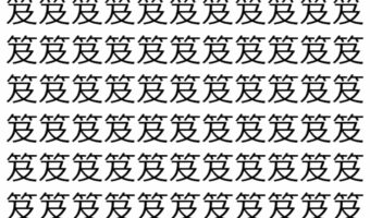 【脳トレ】「笈」の中に紛れて1つ違う文字がある!?あなたは何秒で探し出せるかな??【違う文字を探せ!】