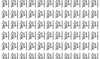 【脳トレ】「䤛」の中に紛れて1つ違う文字がある!?あなたは何秒で探し出せるかな??【違う文字を探せ!】