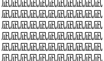 【脳トレ】「凪」の中に紛れて1つ違う文字がある!?あなたは何秒で探し出せるかな??【違う文字を探せ!】