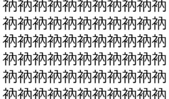 【脳トレ】「衲」の中に紛れて1つ違う文字がある!?あなたは何秒で探し出せるかな??【違う文字を探せ!】