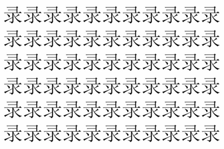 【脳トレ】「录」の中に紛れて1つ違う文字がある！？あなたは何秒で探し出せるかな？？【違う文字を探せ！】