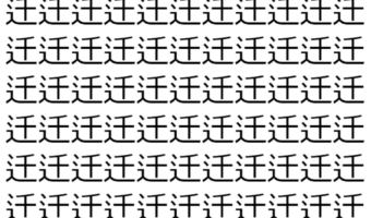 【脳トレ】「迁」の中に紛れて1つ違う文字がある!?あなたは何秒で探し出せるかな??【違う文字を探せ!】
