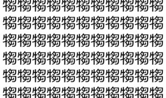 【脳トレ】「犓」の中に紛れて1つ違う文字がある!?あなたは何秒で探し出せるかな??【違う文字を探せ!】