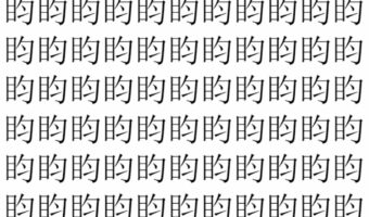 【脳トレ】「盷」の中に紛れて1つ違う文字がある!?あなたは何秒で探し出せるかな??【違う文字を探せ!】