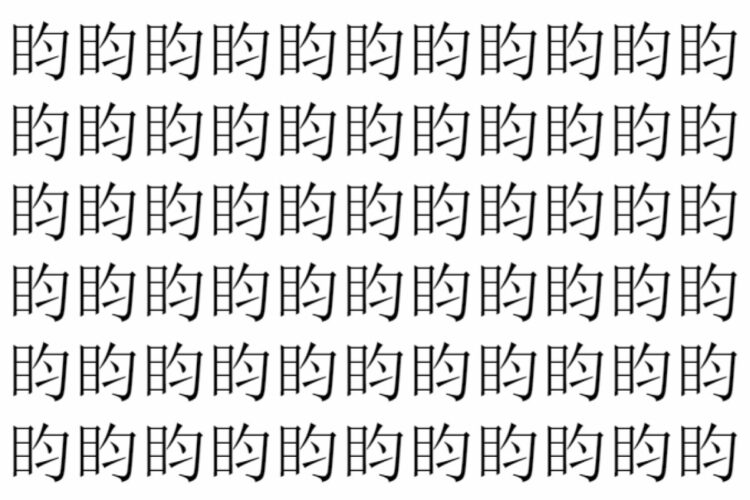 【脳トレ】「盷」の中に紛れて1つ違う文字がある！？あなたは何秒で探し出せるかな？？【違う文字を探せ！】