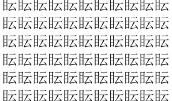 【脳トレ】「眃」の中に紛れて1つ違う文字がある!?あなたは何秒で探し出せるかな??【違う文字を探せ!】