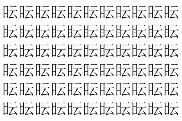 【脳トレ】「眃」の中に紛れて1つ違う文字がある！？あなたは何秒で探し出せるかな？？【違う文字を探せ！】