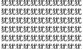 【脳トレ】「犹」の中に紛れて1つ違う文字がある！？あなたは何秒で探し出せるかな？？【違う文字を探せ！】