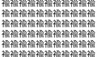 【脳トレ】「褕」の中に紛れて1つ違う文字がある！？あなたは何秒で探し出せるかな？？【違う文字を探せ！】