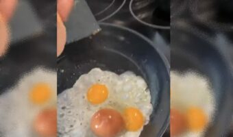 ニワトリ小屋で発見した特大の卵！割ってみると双子プラス卵がもう一個！？マトリョーシカエッグだ！【アメリカ・動画】