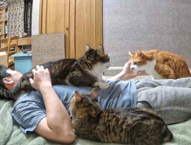 ベッドに寝転んで一休みのはずが・・、なぜかとても忙しい！？その光景に「幸せな忙しさ」「パラダイスですね～」