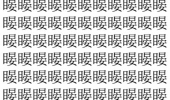 【脳トレ】「䁙」の中に紛れて1つ違う文字がある!?あなたは何秒で探し出せるかな??【違う文字を探せ!】
