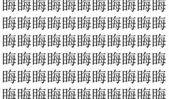【脳トレ】「䀲」の中に紛れて1つ違う文字がある!?あなたは何秒で探し出せるかな??【違う文字を探せ!】