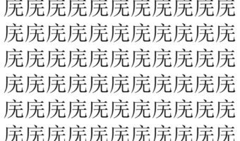 【脳トレ】「庑」の中に紛れて1つ違う文字がある！？あなたは何秒で探し出せるかな？？【違う文字を探せ！】