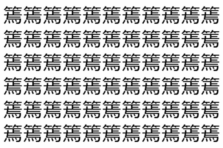 【脳トレ】「篶」の中に紛れて1つ違う文字がある！？あなたは何秒で探し出せるかな？？【違う文字を探せ！】