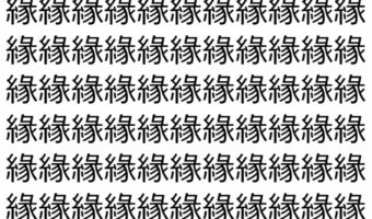 【脳トレ】「緣」の中に紛れて1つ違う文字がある!?あなたは何秒で探し出せるかな??【違う文字を探せ!】