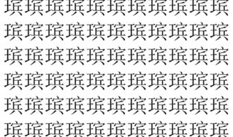 【脳トレ】「瑸」の中に紛れて1つ違う文字がある!?あなたは何秒で探し出せるかな??【違う文字を探せ!】