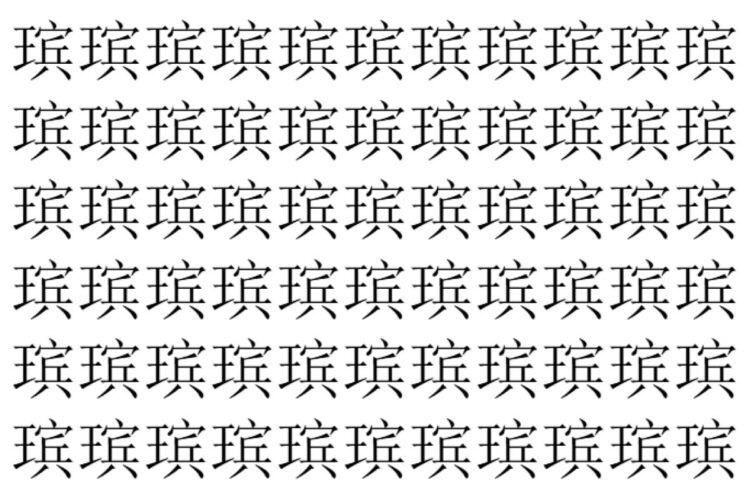 【脳トレ】「瑸」の中に紛れて1つ違う文字がある！？あなたは何秒で探し出せるかな？？【違う文字を探せ！】