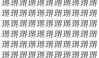 【脳トレ】「琾」の中に紛れて1つ違う文字がある!?あなたは何秒で探し出せるかな??【違う文字を探せ!】