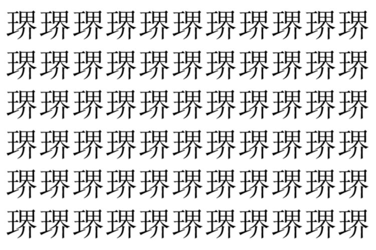 【脳トレ】「琾」の中に紛れて1つ違う文字がある！？あなたは何秒で探し出せるかな？？【違う文字を探せ！】