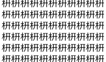 【脳トレ】「枅」の中に紛れて1つ違う文字がある！？あなたは何秒で探し出せるかな？？【違う文字を探せ！】