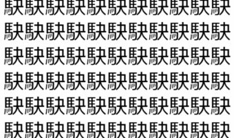 【脳トレ】「駃」の中に紛れて1つ違う文字がある！？あなたは何秒で探し出せるかな？？【違う文字を探せ！】
