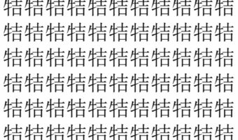 【脳トレ】「㸵」の中に紛れて1つ違う文字がある!?あなたは何秒で探し出せるかな??【違う文字を探せ!】