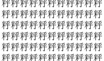 【脳トレ】「䉿」の中に紛れて1つ違う文字がある!?あなたは何秒で探し出せるかな??【違う文字を探せ!】