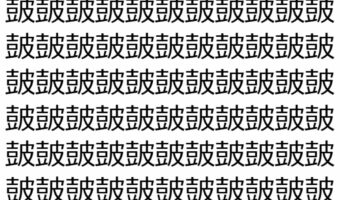 【脳トレ】「皷」の中に紛れて1つ違う文字がある!?あなたは何秒で探し出せるかな??【違う文字を探せ!】
