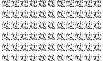 【脳トレ】「竤」の中に紛れて1つ違う文字がある!?あなたは何秒で探し出せるかな??【違う文字を探せ!】